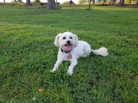 Bella