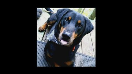 Max