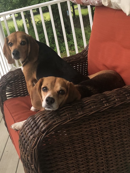 Tyrion and Lucy