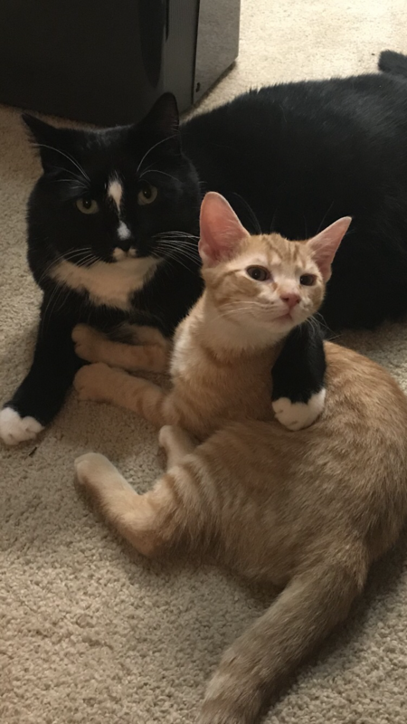 Entry image for Benjamin and Bebe. Clicking this image will show a larger photo