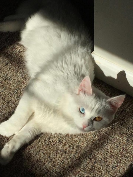 Entry image for Kaia. Clicking this image will show a larger photo