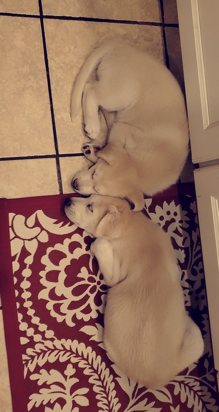Khari & Kimber