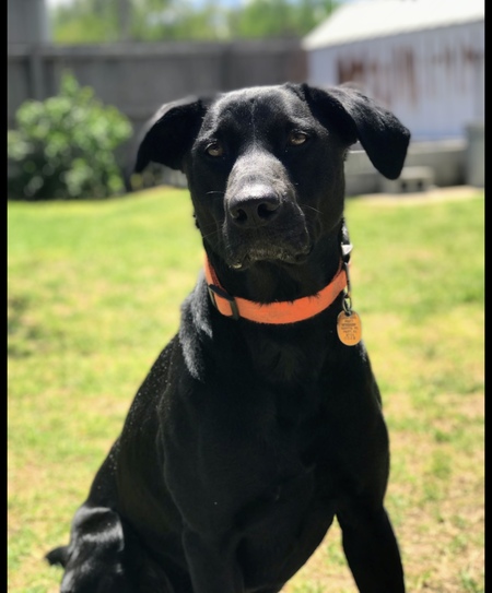 Roxy