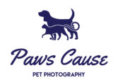 Paws Cause Pet Photography