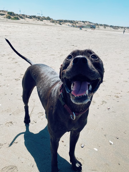 Milo