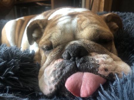 Betty