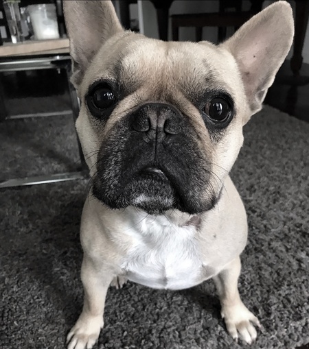 Jaxx Henry