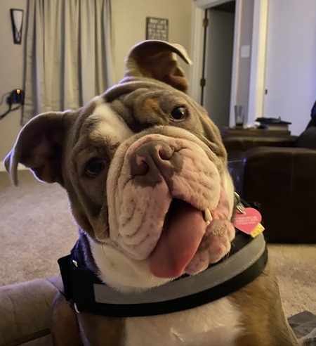 EllaMae