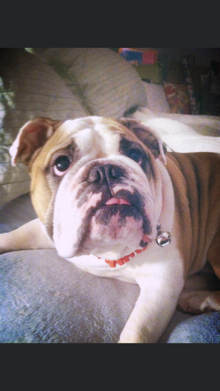 Abby