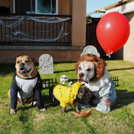 Rumi, Hank, and Riggins