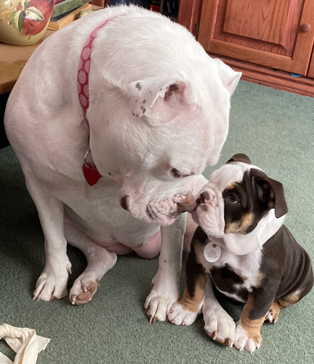 Iggy and Gianna 