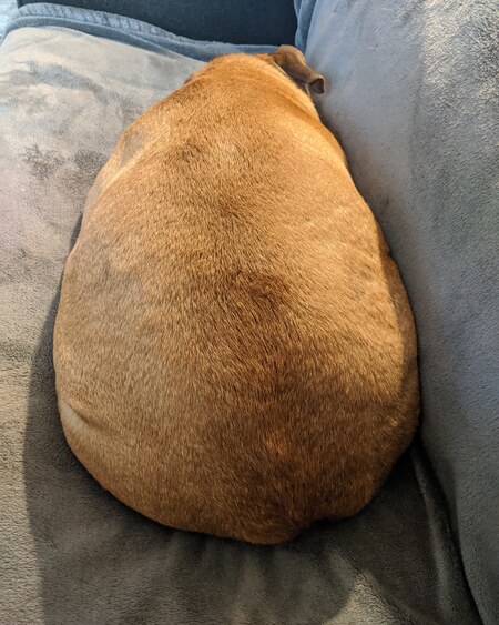 Penelope