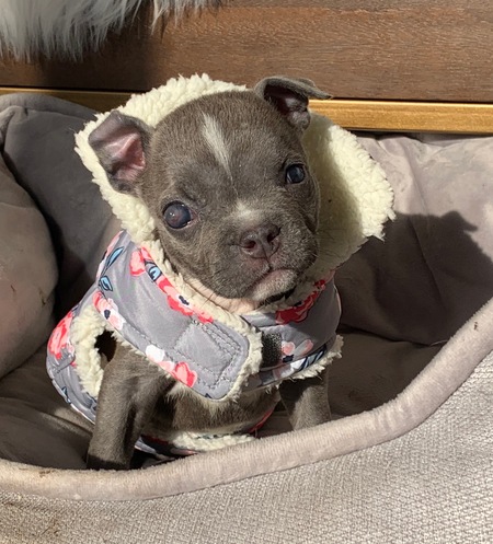 Binky Brightflower 