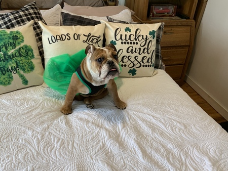 Billie lilybug