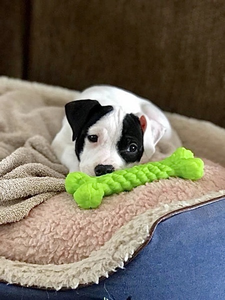 Maggie
