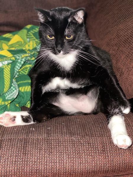 Tux