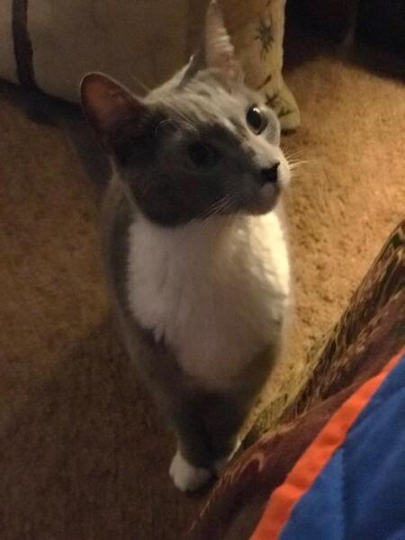 Daniel
