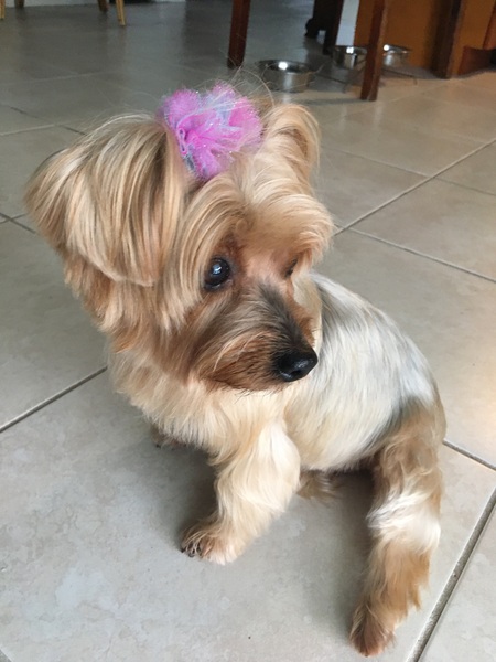 Juno