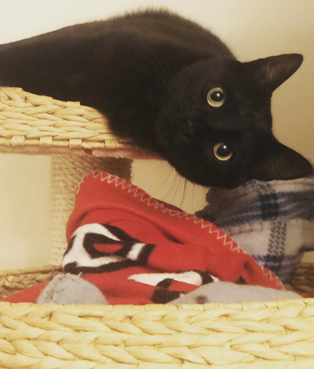 Rico ( aka Big Foot)