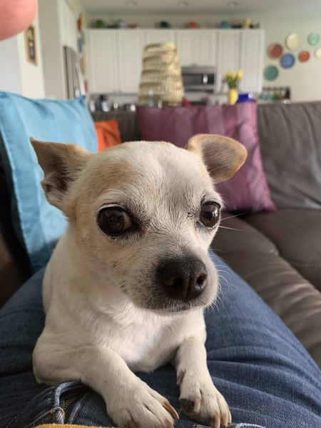 Frank