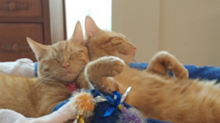 Zack and Zeus