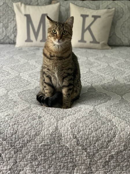 Mac