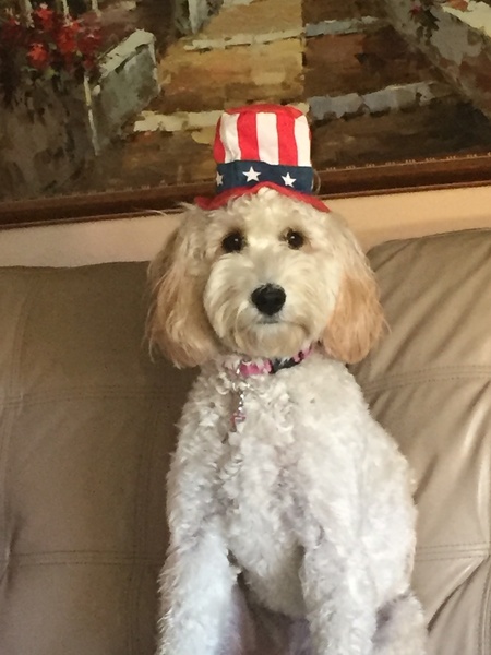 Sofie