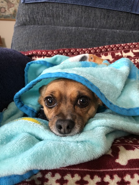 Axel