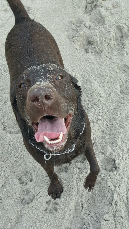 Maya