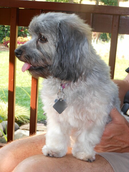 ZOEY
