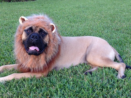 Samson