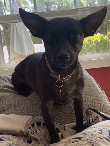 Juno