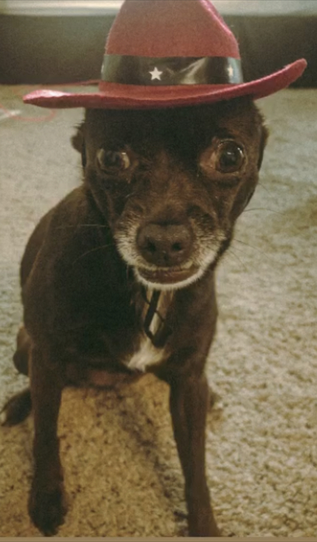 Coco