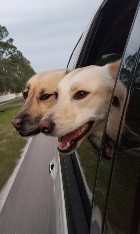 Joanie & Wilma