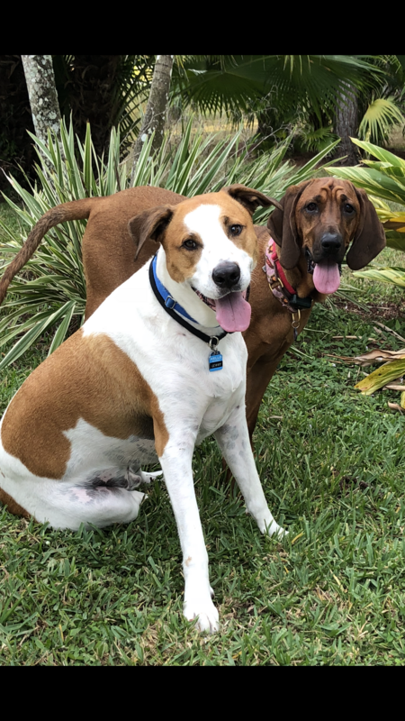 Lenny & Stella