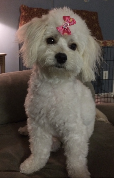 Lily