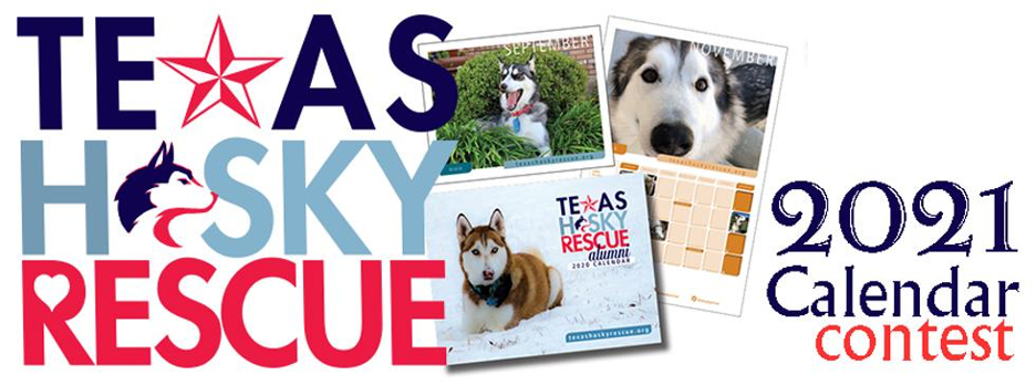 Banner for Texas Husky Rescue 2021 Calendar Dogs