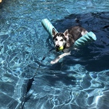 Entry image for Malachi