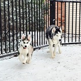 Entry image for Brady + Winter