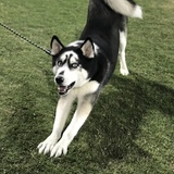 Entry image for Valder