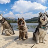 Entry image for Ruffles and Damon