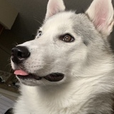 Entry image for Elliott 