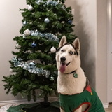 Entry image for Atka Shirey