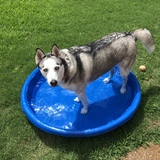 Entry image for Osha