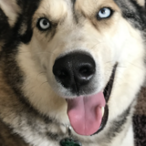 Entry image for Denali