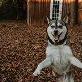 Entry image for Parker