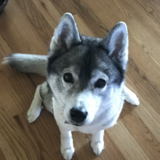 Entry image for Kona