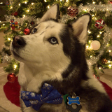 Entry image for Hermes