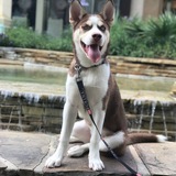 Entry image for Riley