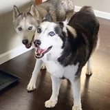 Entry image for Kobalt & Nano